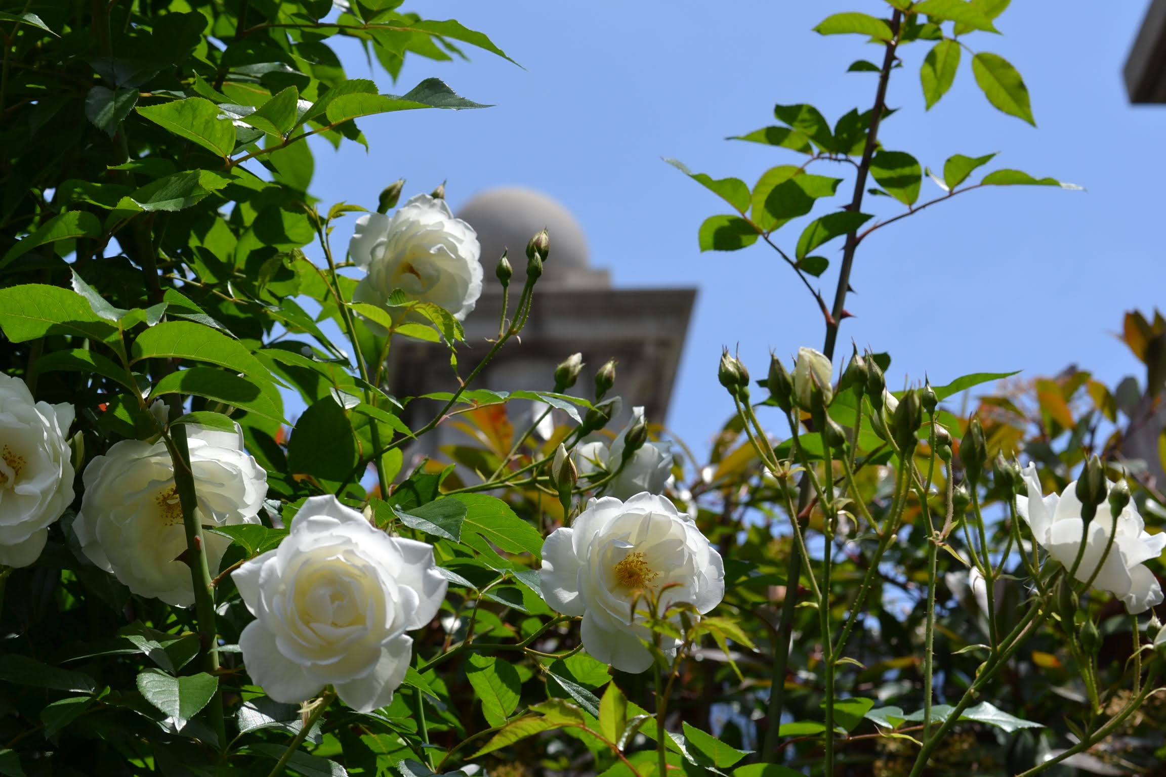 大学生女子　帰省時の持ち物リスト